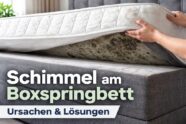 Schimmel Boxspringbett