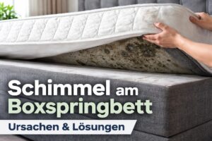 Schimmel Boxspringbett: Ursachen & Lösungen
