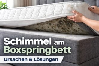Schimmel Boxspringbett